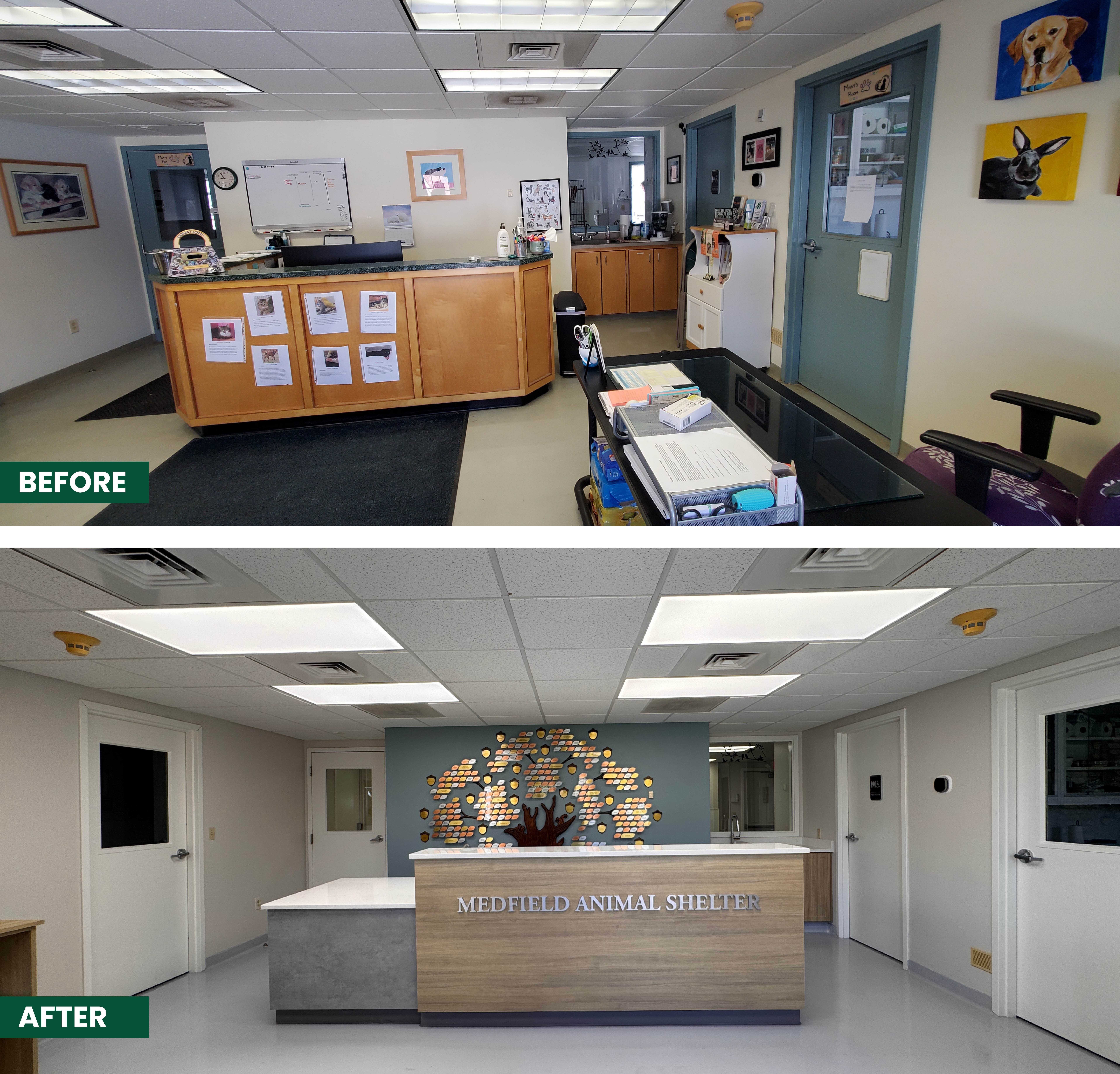 MAS before and after
