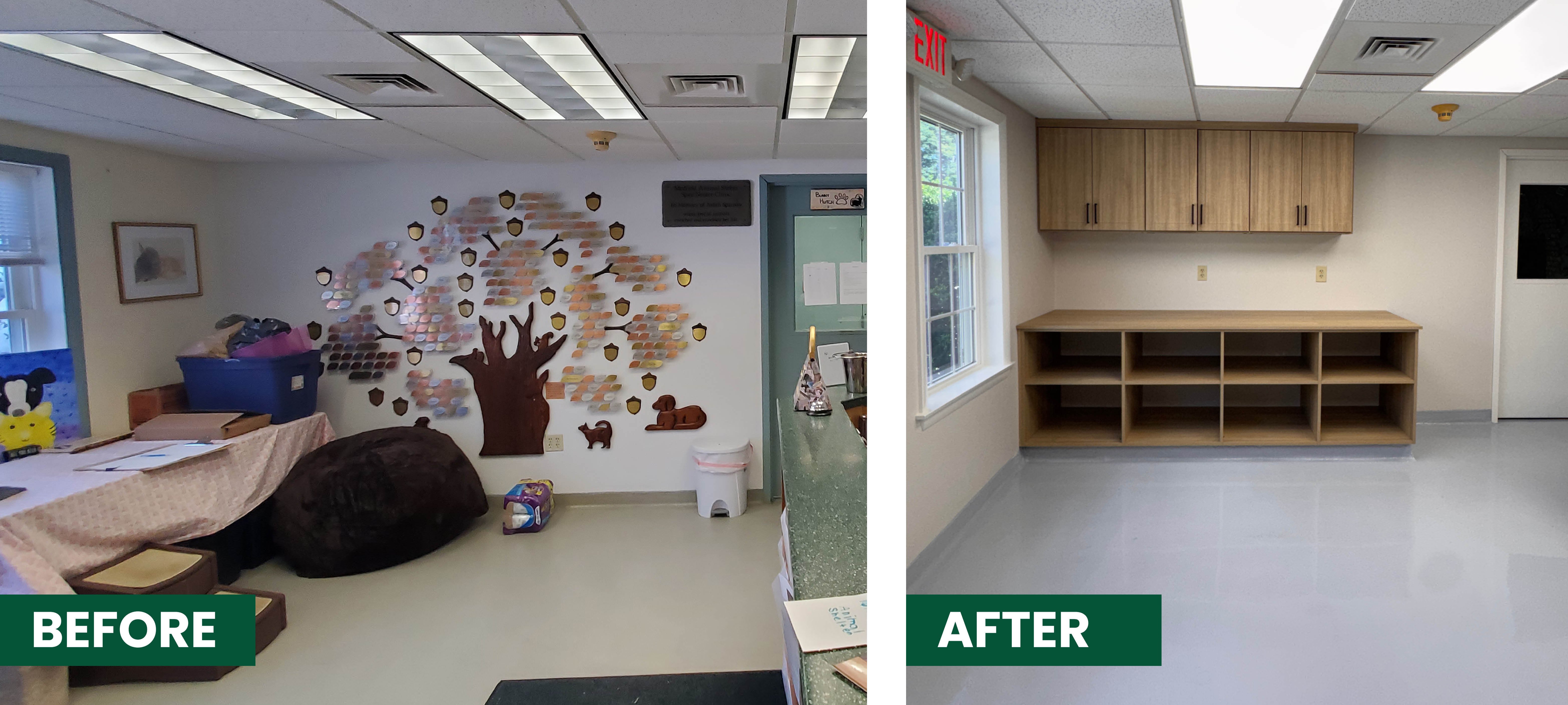 MAS before and after2