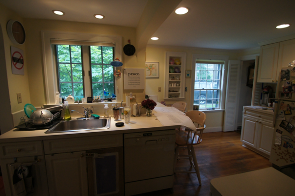 before-kitchen-windows