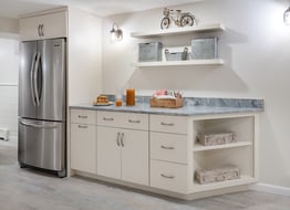 Basement Transformation